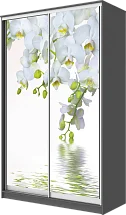 Шкаф-купе 2-х дверный с фотопечатью Белая орхидея 2400 1362 620